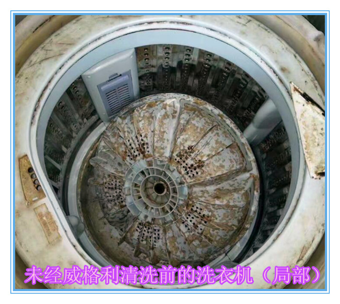 威格利家電清洗中心為什么要推出洗衣機(jī)清洗劑？
